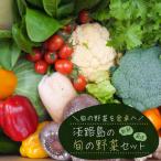 淡路島の旬の野菜セット 10~15種類程度