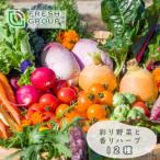 フレッシュグループ淡路島彩り野菜と香るハーブセット