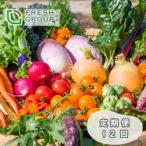 彩り野菜と香るハーブセット 12回お届け