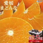 愛媛まどんな 2.5kg
