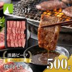 焼肉セット500g at04660