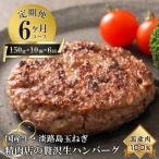 淡路島玉ねぎと 牛の生ハンバーグ150g×10個