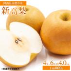 梨 2025年 新高梨 にいたかなし 4玉入り