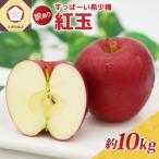 紅玉 訳あり りんご 約10kg