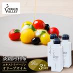 3本セット 淡路阿利布 91g