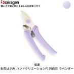 剪定はさみ ハンドクリエーションP180黒刃