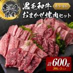 ふるさと納税 鹿児島市 鹿児島県産黒毛和牛おまかせ焼肉600g　K002-046