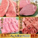 ふるさと納税 神埼市 【4回定期便】 佐賀牛 みんなで贅沢 お楽しみ便(合計3.8kg)(H085150)