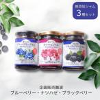 fu.... налог три статья город голубика * черника олдхама * BlackBerry без добавок джем 3 вида комплект [015S098]