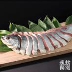 熟成 鮭山漬姿 切身