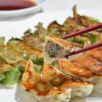 ふるさと納税 四万十市 四万十ひすい餃子・一本釣りかつお餃子(8ヶ×4パック×2種)タレ付き　にんにく不使用 R5-014