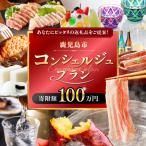 コンシェルジュプラン 寄付額 100万円