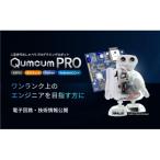クムクム プロモデル QX-001R321J