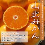 ふるさと納税 香南市 【訳あり】山北みかん 露地(S〜M)B品 10kg - 果物 フルーツ ミカン th-0018