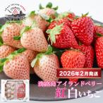 ショッピングふるさと納税 いちご ふるさと納税 淡路市 淡路島アイランドベリー　紅白いちご【2026年2月発送受付・お届け日指定不可】　as14829