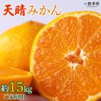 明浜産 天晴みかん 温州みかん 15kg