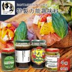 4種詰め合わせセット 生姜焼き ジェノベーゼソース