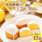 桜島檸檬のレモンケーキ K236-001
