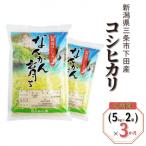 先行受付 産こしいぶき 10kg3か月 精米