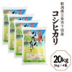 先行受付 認証特別栽培米 下田コシヒカリ 20kg
