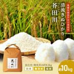 無洗米 キヌヒカリ 約9.2kg