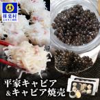 キャビア焼売 8個入り×2パック&amp;平家キャビア