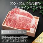 厳選 江田和牛サーロインステーキ600g 200g×3枚