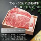 江田和牛サーロインステーキセット1kg 200g×5枚
