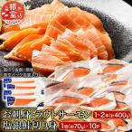 ふるさと納税 根室市 トラウトサーモン1〜2本&塩銀鮭切り身1切×10P A-09122