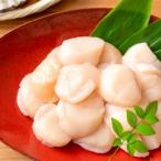 ふるさと納税 根室市 ほたて貝柱300g&とろサーモンハラミ3〜5枚(計1kg) A-09137
