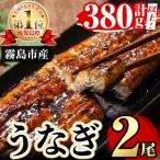A5-034-RT 特別サイズ 霧島うなぎ蒲焼き計380g以上