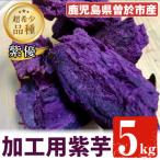 紫芋5kg〈紫優 ムラサキマサリ 加工用さつまいも〉