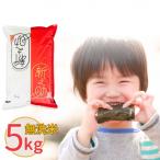 ふるさと納税 三条市 新潟県産 無洗米 新之助 5kg しんのすけ 令和7年産 [株式会社白熊]【010S371】