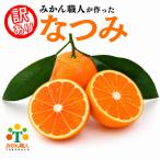 みかん職人のなつみ 3kg