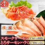 サーモン4~6P&とろサーモンハラミ6~10枚