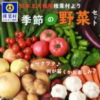 日本三大秘境 産の季節野菜セット JA-28