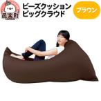 ビーズクッション 座れば誰でもダメになるクッション