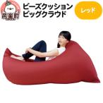 ビーズクッション 座れば誰でもダメになるクッション