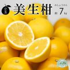 訳あり 小玉 美生柑 約7kg