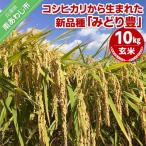 ふるさと納税 南あわじ市 令和6年産・玄米『みどり豊』10kg 10月初旬頃から発送