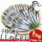 子持ち樺太ししゃも丸干し 計1kg