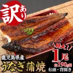 訳あり うなぎ 産うなぎ 蒲焼 特大 190g超