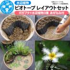 水辺植物 ビオトープレイアウトセット 09_chm-a90101