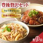 豊後贅沢セット 豊後水道の朝獲れりゅうきゅう4食