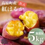 新物 令和8年産 南九州の名産品 熟成紅はるか 5kg
