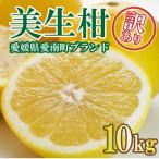 訳あり 美生柑 約10kg