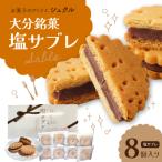 大分銘菓 塩サブレ 8個入り