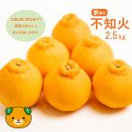 訳あり 減農薬 不知火 2.5kg