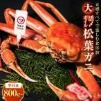 活〆ボイル松葉蟹 大 800g~