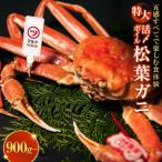 活〆ボイル松葉蟹 特大900g~